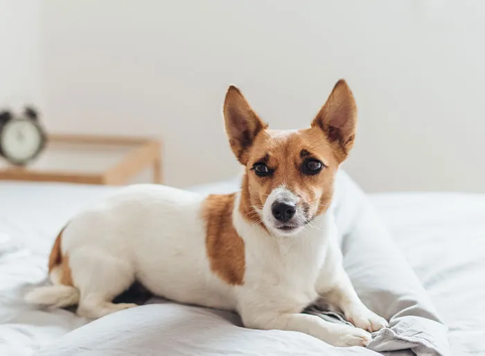 "Hoy aprendí": 25 Datos interesantes sobre el mundo que quizá no sabías