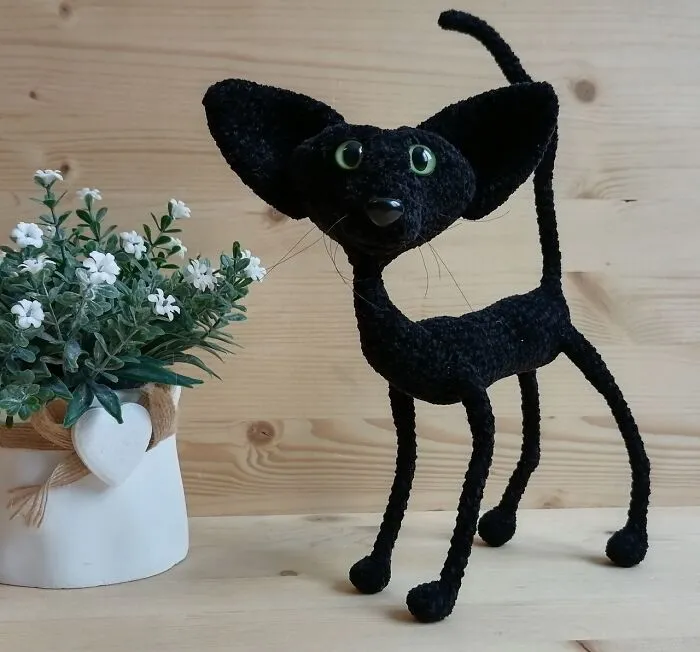 Black Oriental Cat