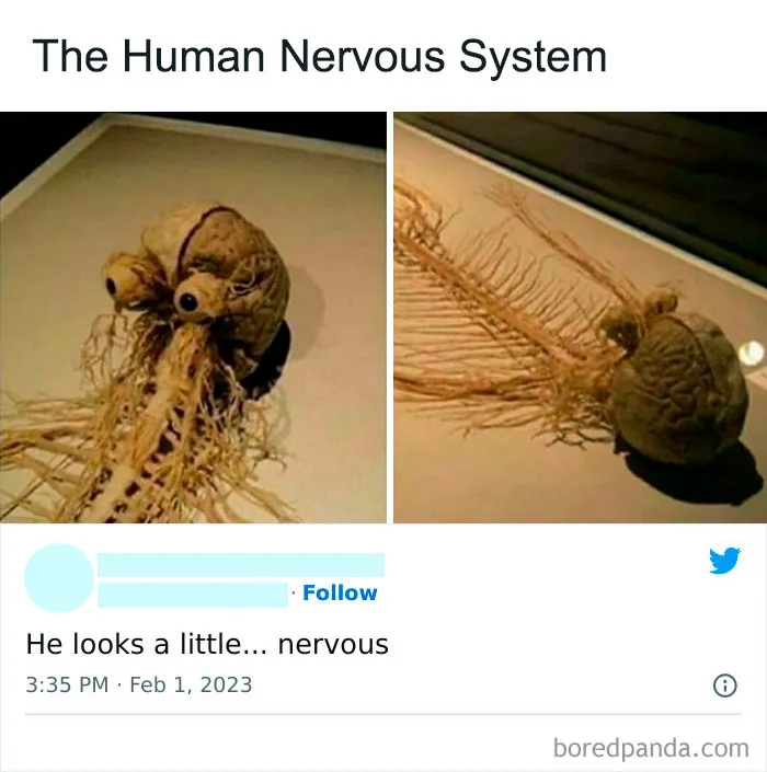 50 Hilarious Science Memes That Prove That Science Can Be Funny, As Shared On This Instagram Page