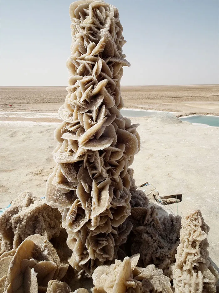 Desert Roses