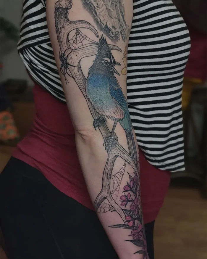 Stellers Jay, Elk Antler And Fireweed Tattoo