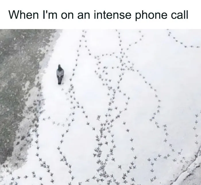 This Instagram Account Shares Pics With Little To No Context, And Here Are 40 Of The Funniest Ones