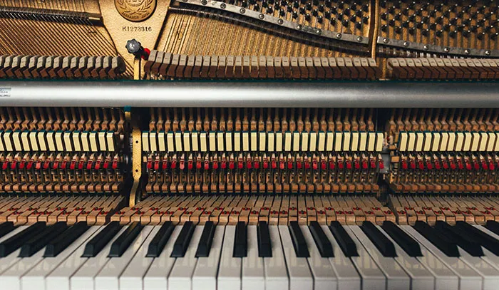 Someone Asked, "What Is The Most Expensive Object You Own?", Here Are 53 Most Interesting Responses