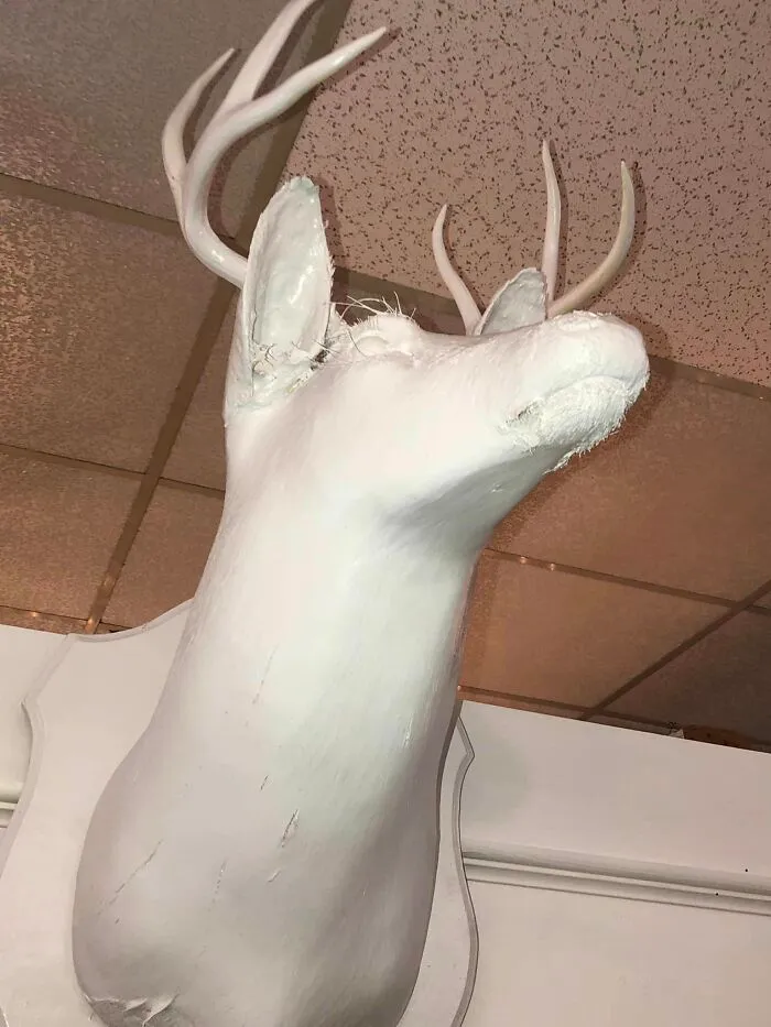  Hoy, fui a una tienda de “antigüedades”. Ya saben a qué tipo me refiero. Todo estaba reciclado y pintado de blanco. Y me refiero a *todo*