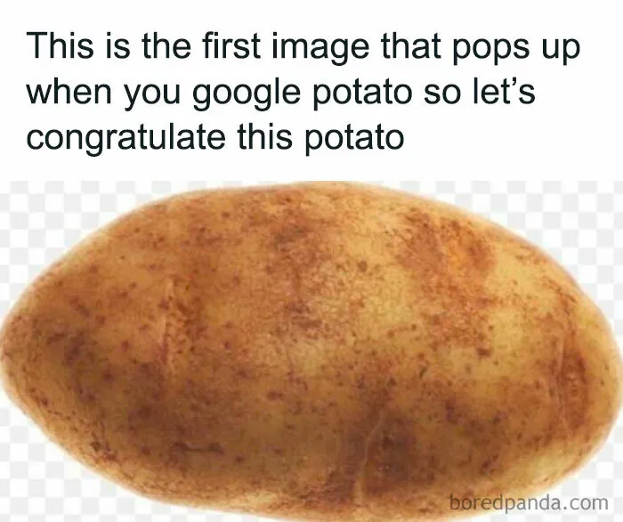 R/Memes Is A Gold Mine