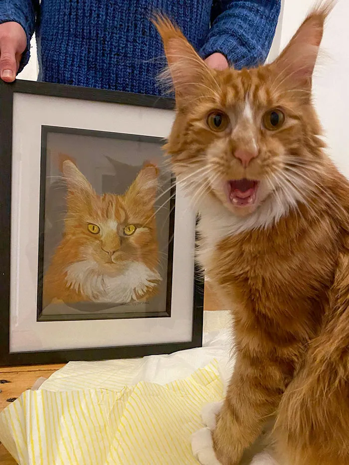 Today Is My Kitten's First Birthday. My Mum Got This Painting Of Him, And He Was Very Surprised