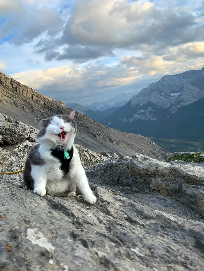Gary estaba muy emocionado por llegar a su primera cumbre 