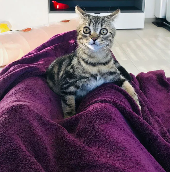 He Heard Me Sneeze For The First Time