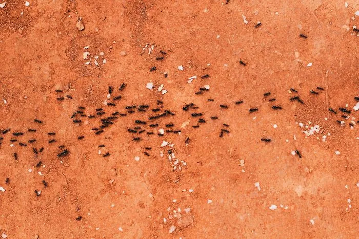25 Terribles historias de convivencia gracias a compañeros de piso "monstruosos"