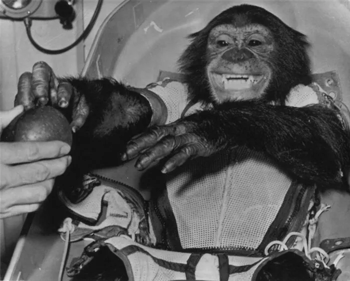 Ham The Chimp