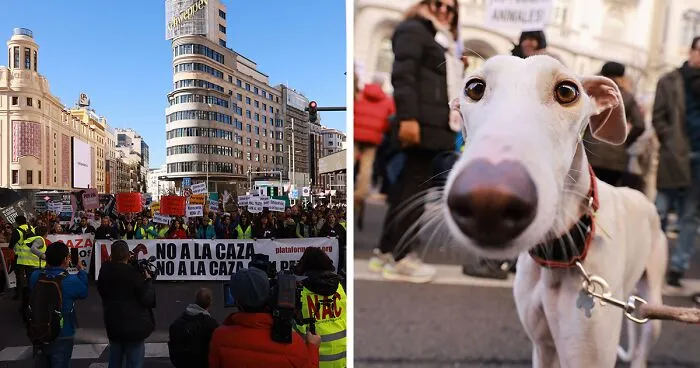 I Photographed Thousands Of People Protesting Against Animal Rights Bill In Spain To Spread Awareness
