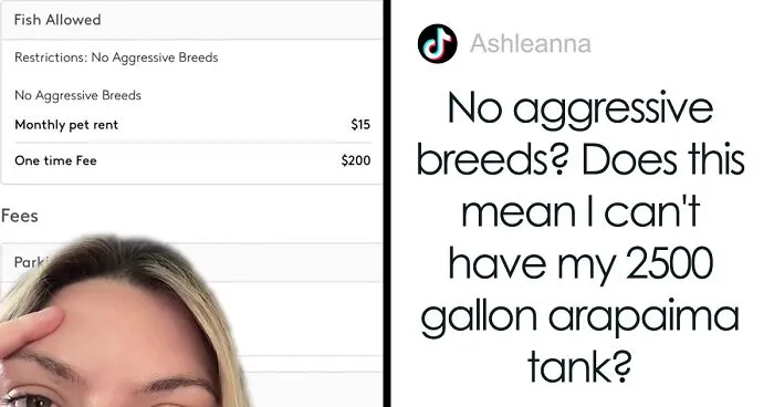 Woman Speechless Over Landlord Charging Her $200 Goldfish Fee And Adding Monthly $15 'Pet Rent'