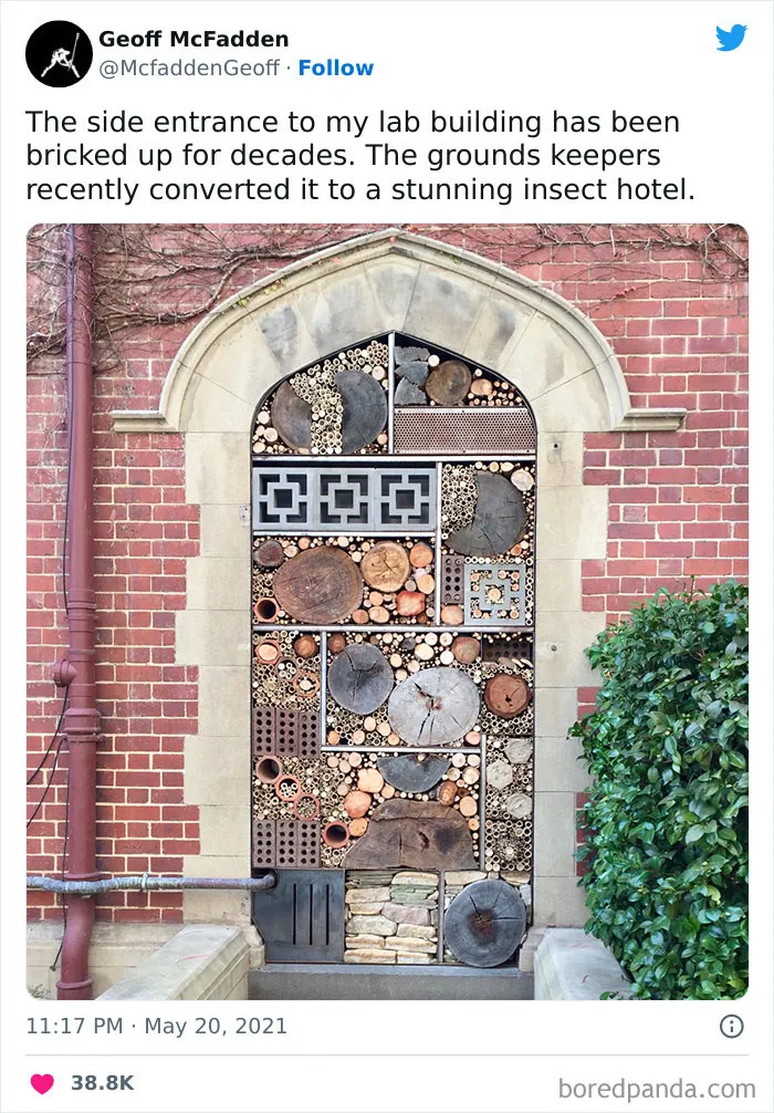 Cool building conversion: former entrance transformed into a decorative insect hotel with wood and brick elements.