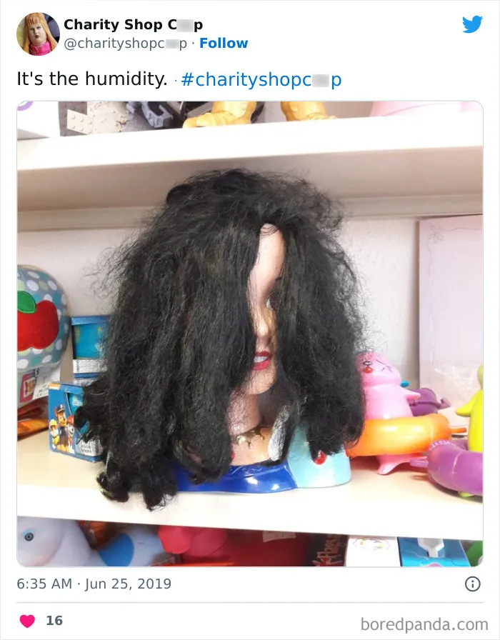 30 Random And Unhinged Charity Shop Finds That Prove Shopping Secondhand Can Be Wild