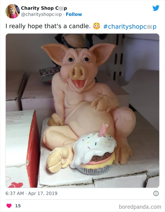 30 Random And Unhinged Charity Shop Finds That Prove Shopping Secondhand Can Be Wild