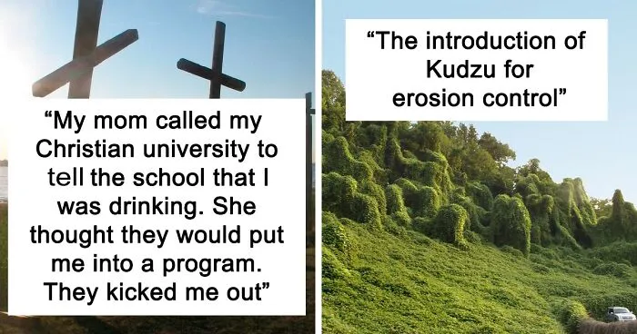 "The Road To Hell Is Paved With Good Intentions": 30 Times People Wanted Nothing But Good Yet It All Ended Badly, As Told In This Online Group