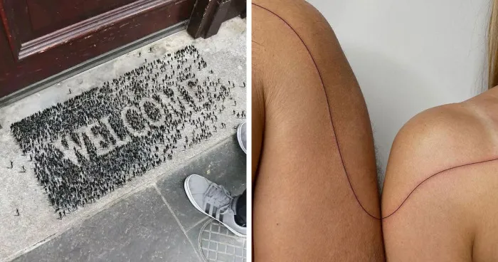 30 Ejemplos de "diseño terapéutico" que te sorprenderá y hará volar tu imaginación