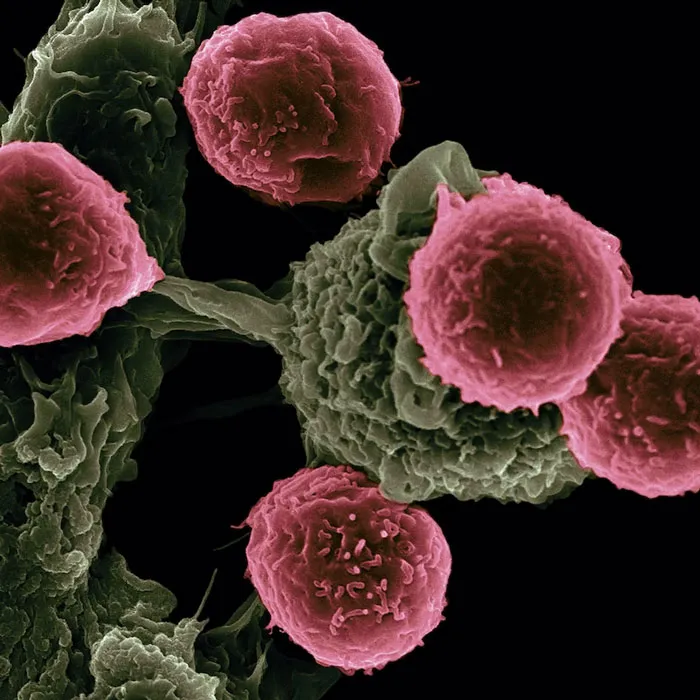 People Share 40 Creepy Things That They Wish Were Lies But Are Actually Scientific Facts