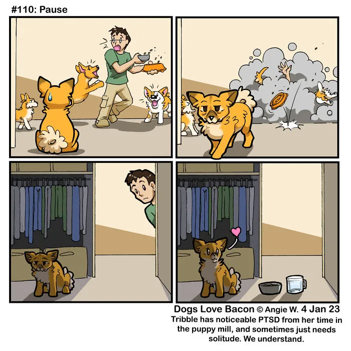I Capture The Funny Reality Of Being A Dog Owner And Put It Into My Comics (25 New Pics)