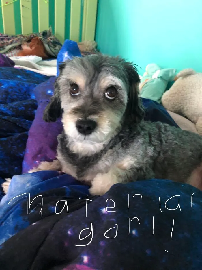 Girly Rolling Her Eyes At Me