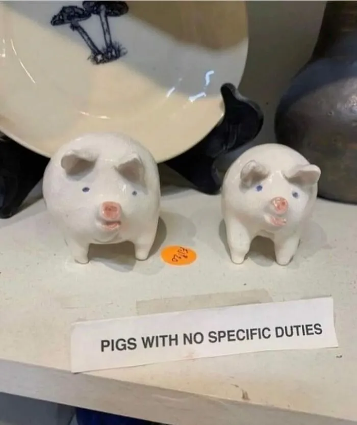 This Facebook Group Is Full Of The Funniest And Craziest Signs Found In Public, And Here Are 30 Of The Best Ones