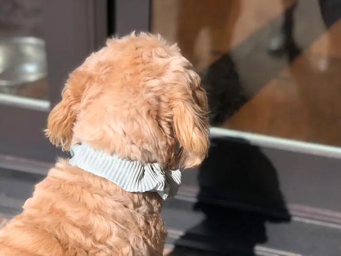 What A Handsome Man