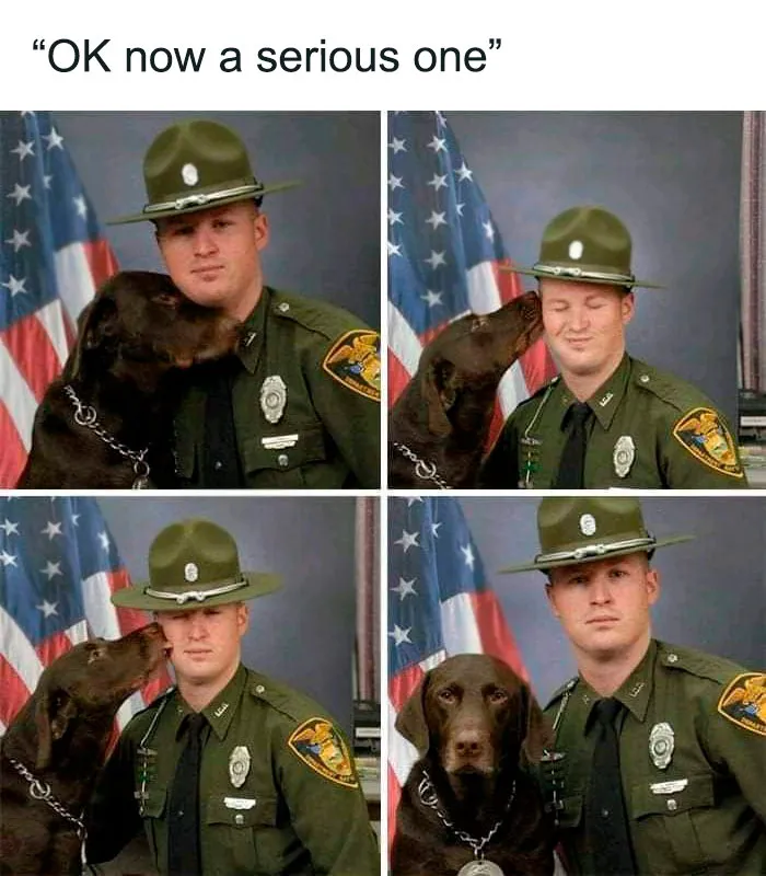 50 Funny And Wholesome Memes That Are Just Harmless, As Shared On "Respectful Memes" (New Pics)