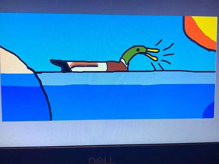 Duck