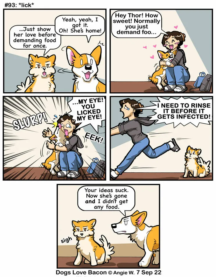I Capture The Funny Reality Of Being A Dog Owner And Put It Into My Comics (25 New Pics)