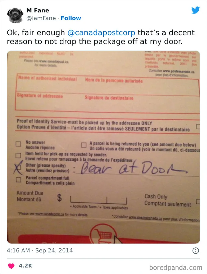 86 Funny Canadian Tweets That Tell It Like It Is