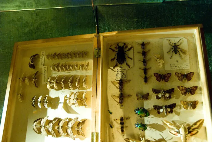 35 Weird Hobbies People Enjoy In Their Spare Time
