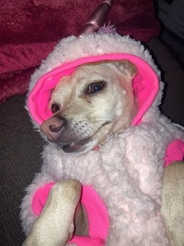 She Is Beauty, She Is Grace…