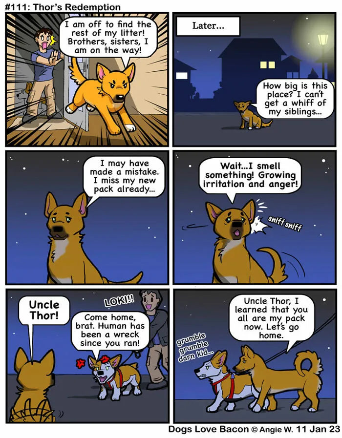 I Capture The Funny Reality Of Being A Dog Owner And Put It Into My Comics (25 New Pics)