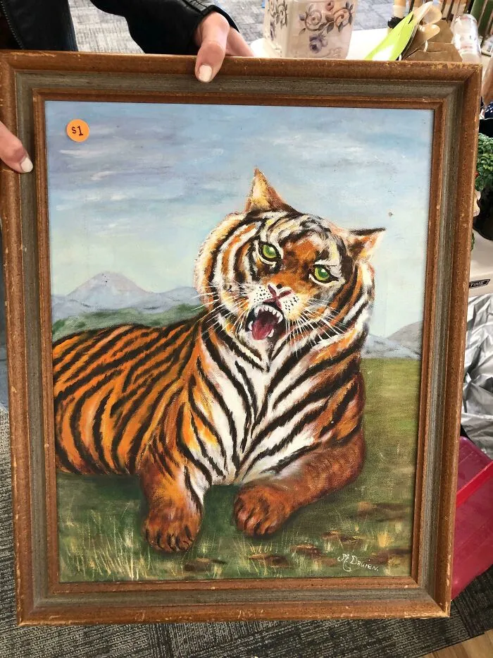 Un majestuoso tigre, con algunas dificultades anatómicas