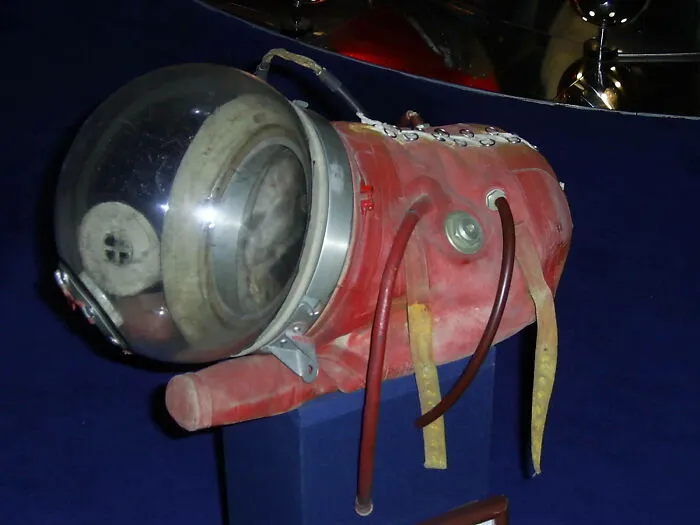 a red spacesuit for animals