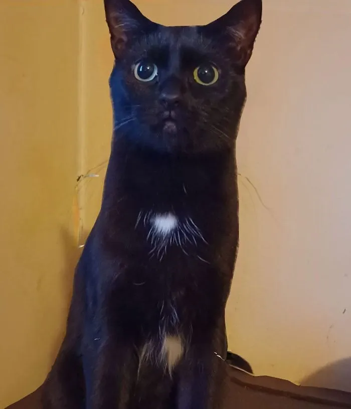 Eyes Up Here