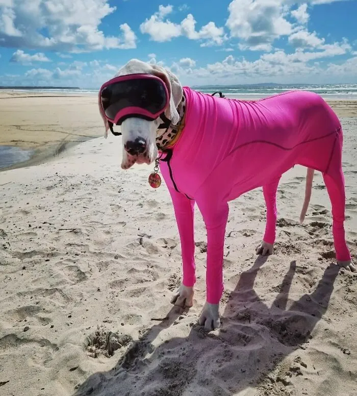 Life's A Beach