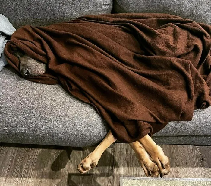 Nap Time