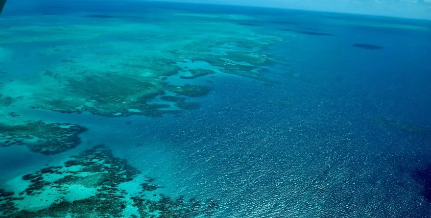 The Great Barrier Reef Is The Largest Living Structure On Earth
