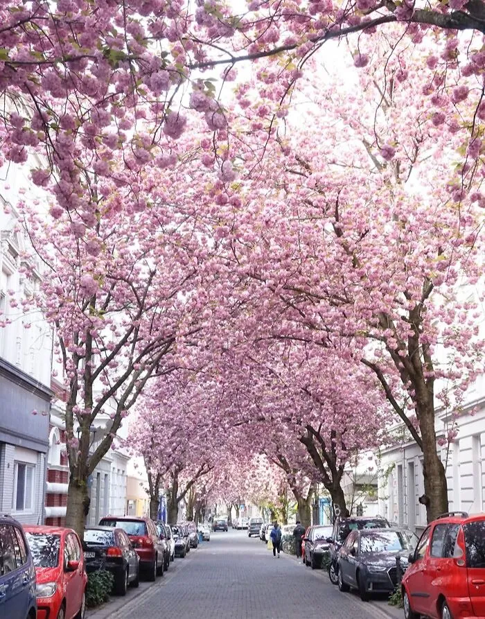 Bonn, Germany