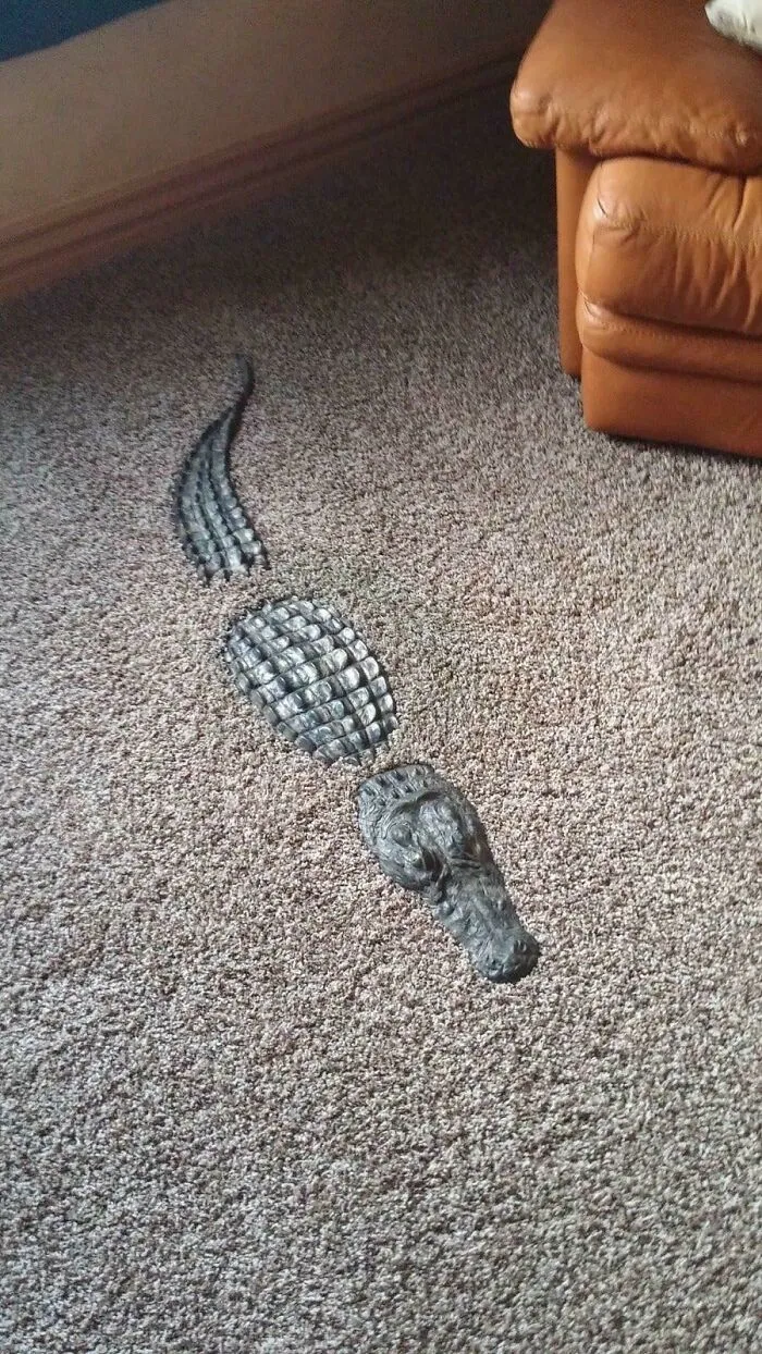 Cocodrilo para decorar la alfombra