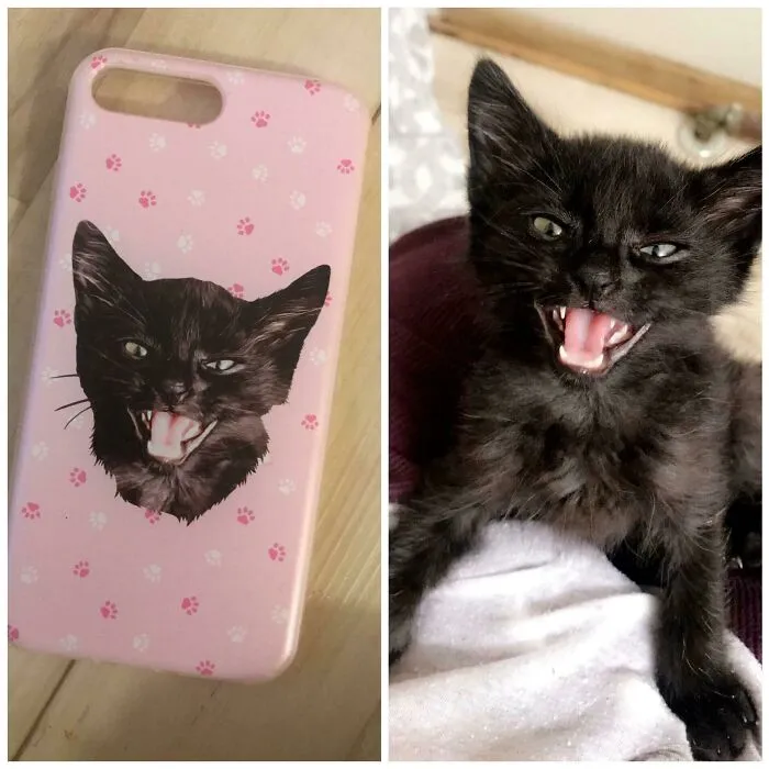New Phone Case