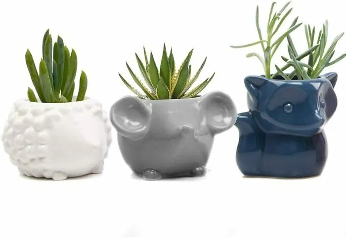 Mini Animal Planter