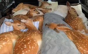 50 Times People Saw Something That Made Them Go 'Hmmm' And Just Had To Share It Online (New Pics)