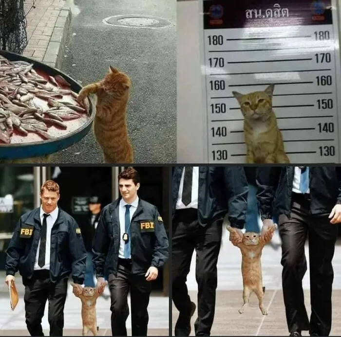 Hmmm