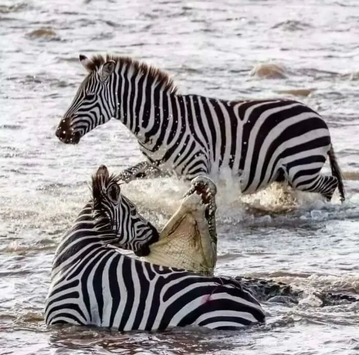 Hmmm