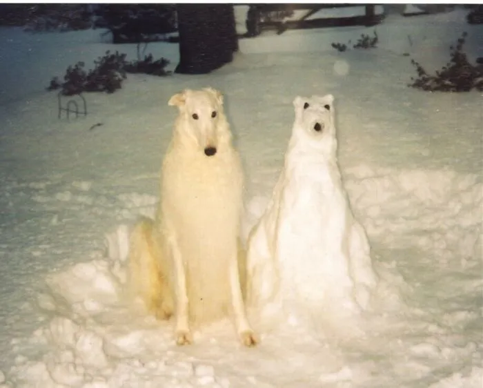 Hmmm