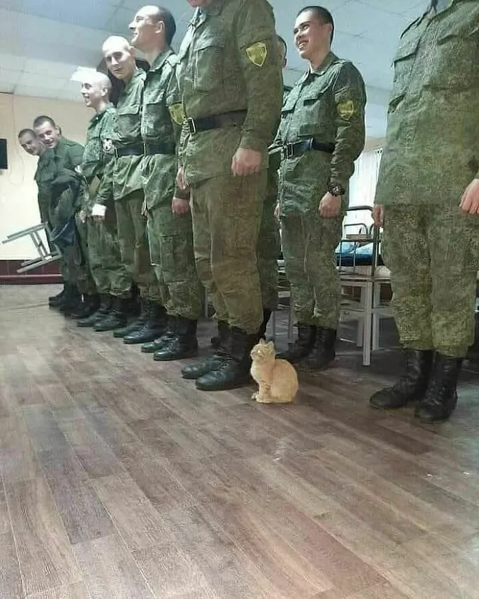 Hmmm