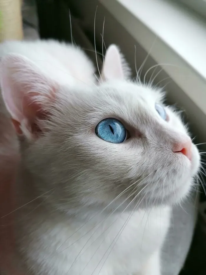 Managed To Get A Nice Close Up Of His Eye