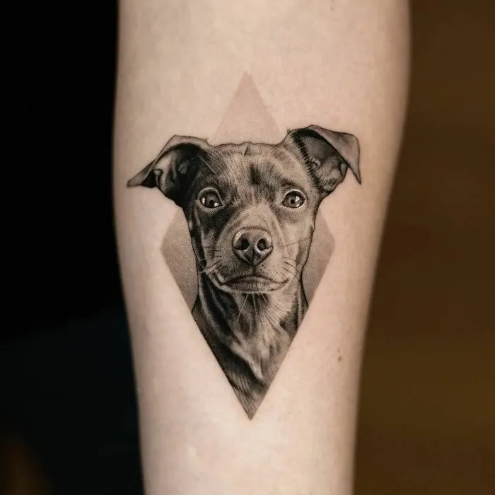 Fine Line Puppy